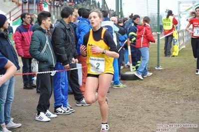 Clicca per vedere l'immagine alla massima grandezza