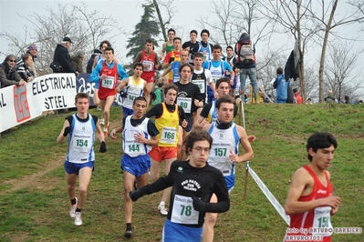 Clicca per vedere l'immagine alla massima grandezza