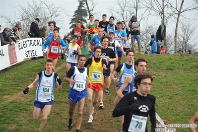 Clicca per vedere l'immagine alla massima grandezza