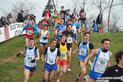 Clicca per vedere l'immagine alla massima grandezza