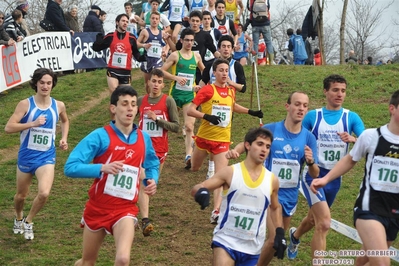 Clicca per vedere l'immagine alla massima grandezza