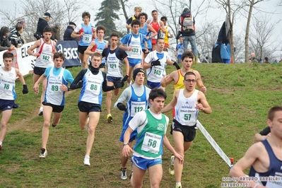 Clicca per vedere l'immagine alla massima grandezza