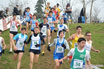 Clicca per vedere l'immagine alla massima grandezza
