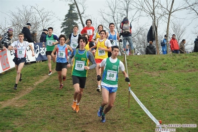 Clicca per vedere l'immagine alla massima grandezza