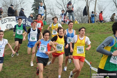 Clicca per vedere l'immagine alla massima grandezza