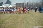 DSC_9433.jpg