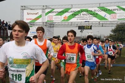Clicca per vedere l'immagine alla massima grandezza