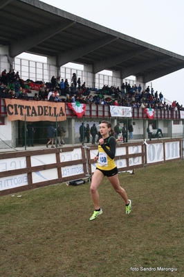 Clicca per vedere l'immagine alla massima grandezza