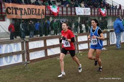 Clicca per vedere l'immagine alla massima grandezza