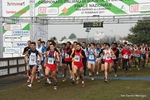 IMG_5386.jpg