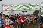 IMG_5387.jpg