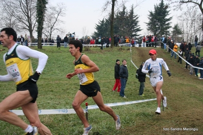 Clicca per vedere l'immagine alla massima grandezza