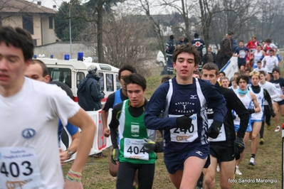 Clicca per vedere l'immagine alla massima grandezza