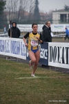Immagine_4479.jpg