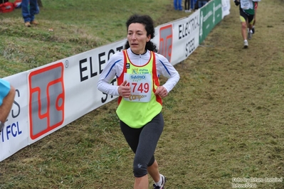 Clicca per vedere l'immagine alla massima grandezza