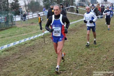 Clicca per vedere l'immagine alla massima grandezza