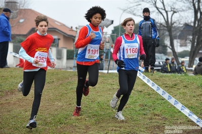 Clicca per vedere l'immagine alla massima grandezza