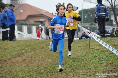 Clicca per vedere l'immagine alla massima grandezza