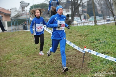 Clicca per vedere l'immagine alla massima grandezza