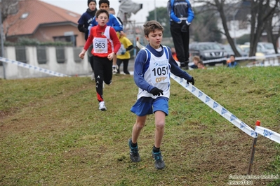 Clicca per vedere l'immagine alla massima grandezza
