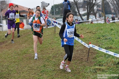 Clicca per vedere l'immagine alla massima grandezza