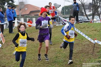 Clicca per vedere l'immagine alla massima grandezza