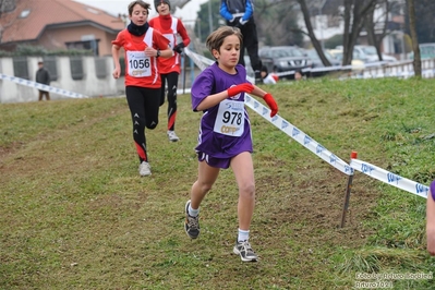 Clicca per vedere l'immagine alla massima grandezza
