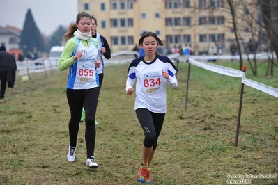 Clicca per vedere l'immagine alla massima grandezza