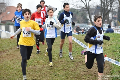 Clicca per vedere l'immagine alla massima grandezza