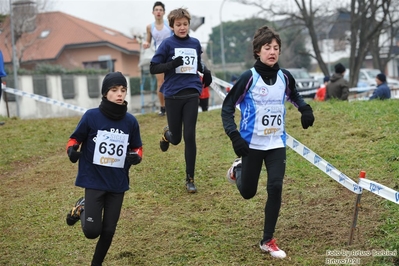 Clicca per vedere l'immagine alla massima grandezza