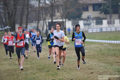 Clicca per vedere l'immagine alla massima grandezza