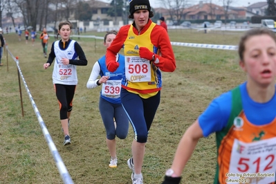 Clicca per vedere l'immagine alla massima grandezza