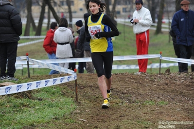 Clicca per vedere l'immagine alla massima grandezza