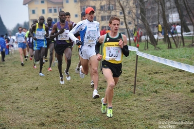 Clicca per vedere l'immagine alla massima grandezza