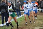 DSC_3695.jpg