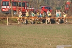 DSC_3234.jpg