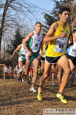Clicca per vedere l'immagine alla massima grandezza