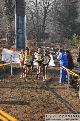 Clicca per vedere l'immagine alla massima grandezza