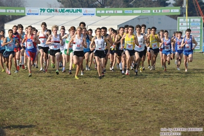 Clicca per vedere l'immagine alla massima grandezza