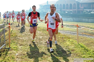 Clicca per vedere l'immagine alla massima grandezza