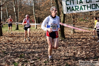 Clicca per vedere l'immagine alla massima grandezza