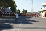 giorgi_174.jpg