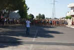 giorgi_175.jpg