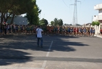 giorgi_176.jpg