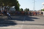 giorgi_178.jpg