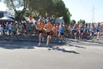 giorgi_184.jpg