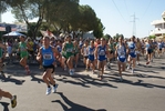 giorgi_186.jpg