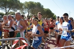 giorgi_203.jpg
