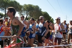 giorgi_208.jpg