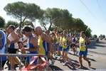 giorgi_218.jpg